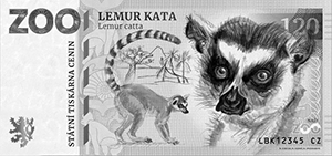 Lemur Kata
