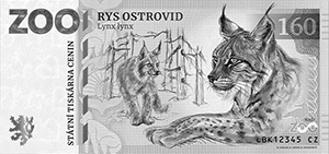 Rys Ostrovid