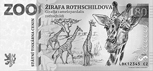 Žirafa Rothschildova