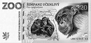 Šimpanz Učenlivý