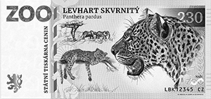Levhart Skvrnitý