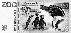 Tučňák Brýlový