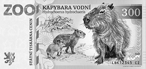 Kapybara Vodní