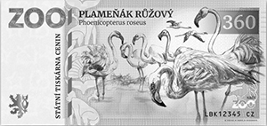 Plameňák Růžový