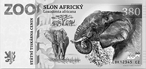 Slon Africký