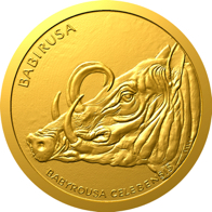 Prase babirusa