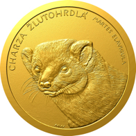 Charza žlutohrdlá
