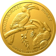Dvojzoborožec indický