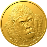 Gorila nížinná