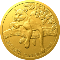 Jaguár