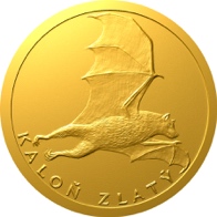 Kaloň zlatý
