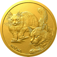 Kočka obecná