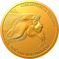 Kočkodan