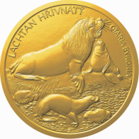 Lachtan hřivnatý