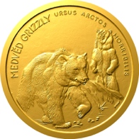 Medvěd grizzly