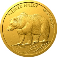Medvěd hnědý
