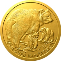 Medvěd kamčatský