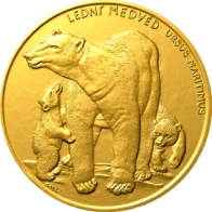 Medvěd lední