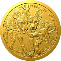 Pes hyenový