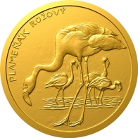 Plameňák růžový