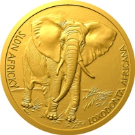 Slon africký