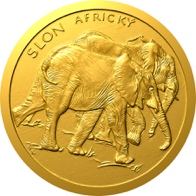 Slon africký