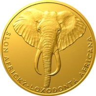 Slon africký