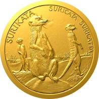 Surikata