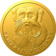 Tamarín vousatý