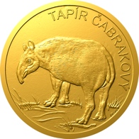 Tapír čabrakový