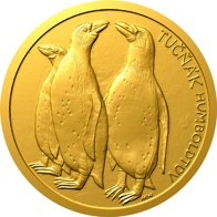 Tučnák humboldtův