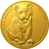 Tygr indický