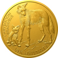 Vlk hřivnatý