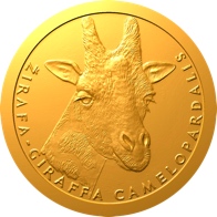 Žirafa