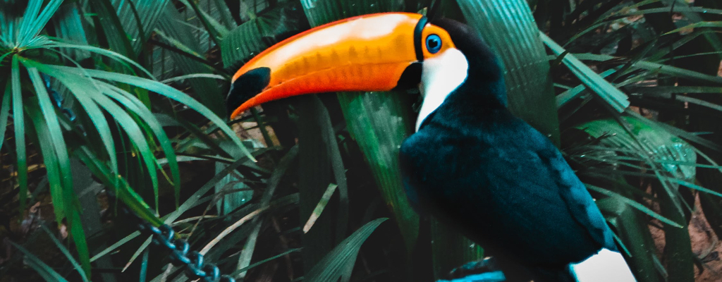 ZOO Chleby