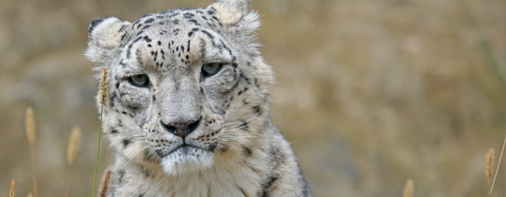 ZOO Košice