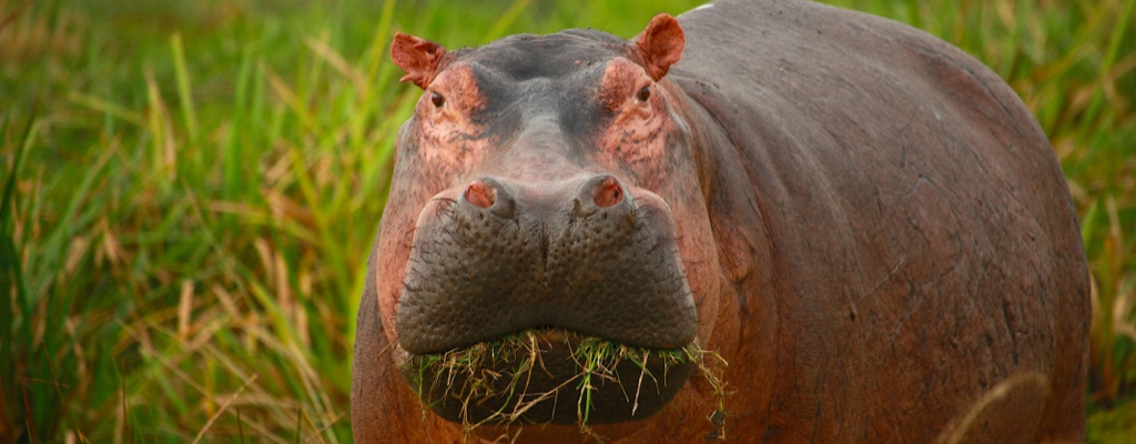 ZOO Ostrava