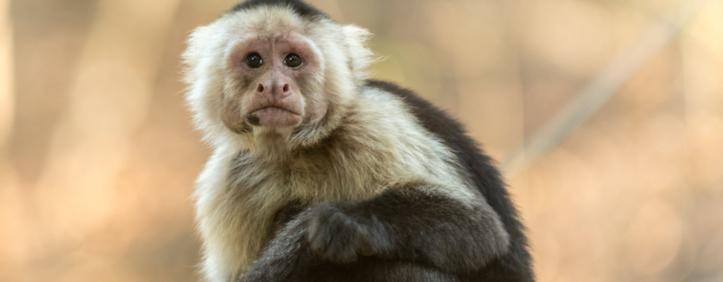 ZOO Plock